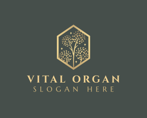 Premium Tree Orchard logo design