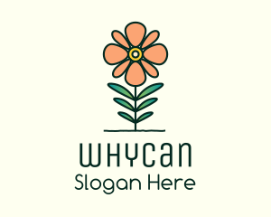 Floriculture - Daisy Plant Flower logo design