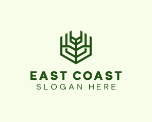 Natural Eco Agriculture logo design