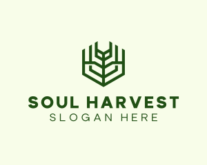 Natural Eco Agriculture logo design