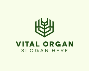 Natural Eco Agriculture logo design