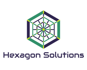 Hexagon - Spiderweb Hexagon logo design