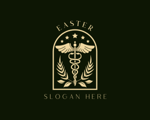 Medicine Caduceus Staff Logo