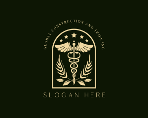 Surgeon - Medicine Caduceus Staff logo design