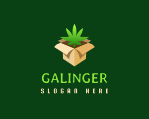 Dispensary - Marijuana Delivery Box logo design