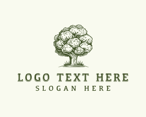 Vintage - Vintage Tree Organic logo design