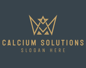 Modern Royal Crown logo design