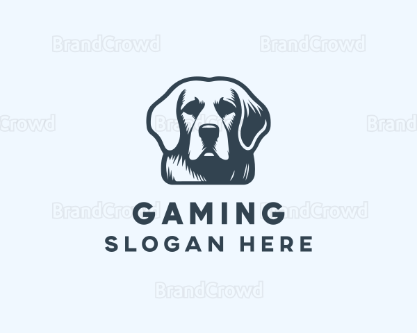 Dog Pet Veterinarian Logo