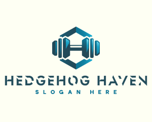 Dumbbell Hexagon Letter H logo design