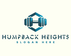 Dumbbell Hexagon Letter H logo design