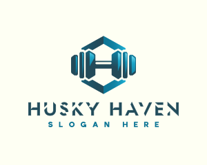 Dumbbell Hexagon Letter H logo design