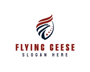 Eagle Aviation USA Logo