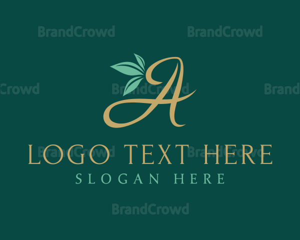 Eco Script Letter A Logo