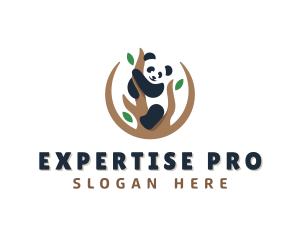 Cute Panda Branch logo design