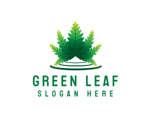Cannabis Weed Leaf  logo design