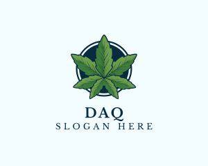 Cbd - Organic Leaf Cannabis logo design