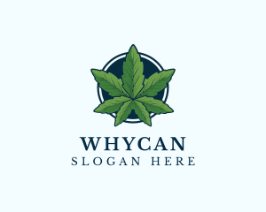 Nature - Organic Leaf Cannabis logo design