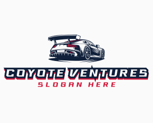 Race Car Detailing  logo design