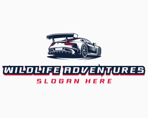 Race Car Detailing  logo design