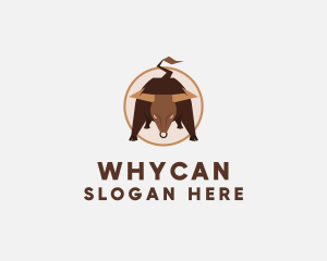 Rodeo Bull Horn Logo