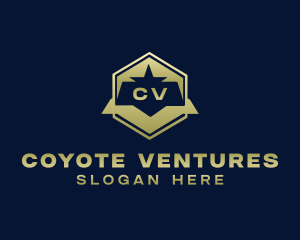 Corporate Business Shield logo design