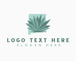 Map - New Mexico Agave Plant logo design