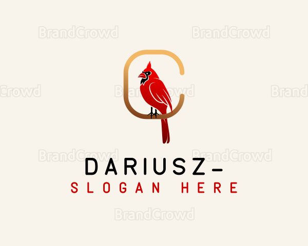Cardinal Bird Letter C Logo