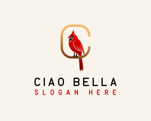 Cardinal Bird Letter C logo design