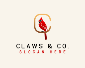 Cardinal Bird Letter C logo design