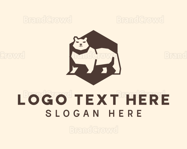 Hexagon Angry Bear Logo