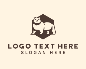 Bear - Hexagon Angry Bear logo design