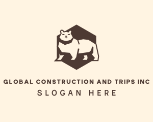 Bear - Hexagon Angry Bear logo design