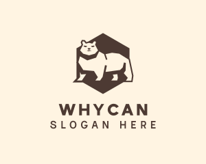 League - Hexagon Angry Bear logo design