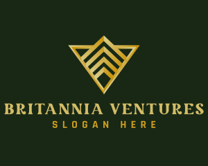 Finance Business Company logo design