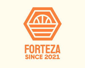 Orange Hexagon Basketball logo design