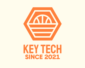 Orange Hexagon Basketball logo design