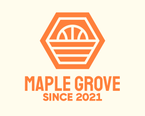 Orange Hexagon Basketball logo design