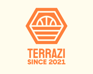 Orange Hexagon Basketball logo design