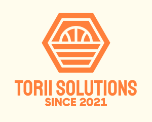 Orange Hexagon Basketball logo design