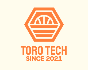 Orange Hexagon Basketball logo design