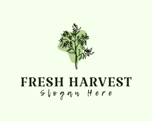 Produce - Olive Plant Produce logo design