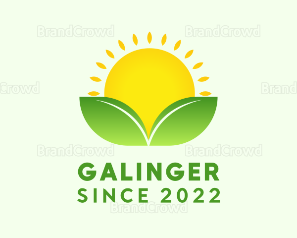 Sun Sprout Gardening Logo