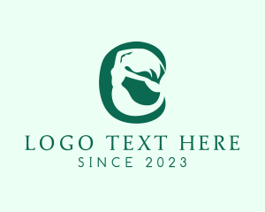 Mermaid - Aqua Mermaid Letter O logo design
