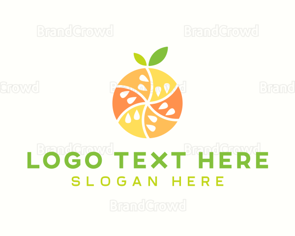 Citrus Fruit Harvest Logo