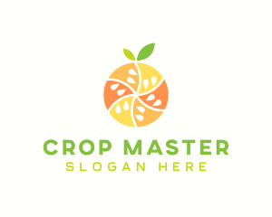 Citrus Fruit Harvest logo design