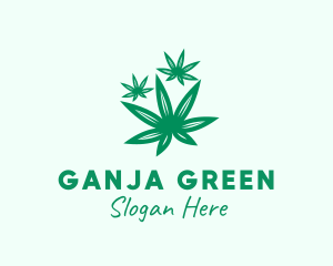 Medicinal Marijuana Leaves logo design