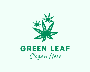 Medicinal Marijuana Leaves logo design