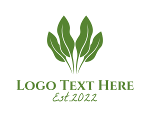 Herbal - Herbal Plant Botanist logo design