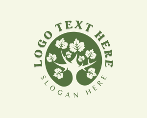 Maple Tree - Nature Garden Tree logo design