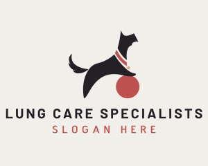 Animal Dog Care  logo design